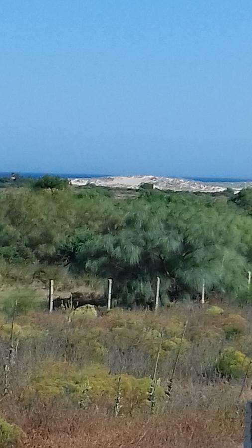 La Aceitera De Trafalgar Barbate Exteriér fotografie